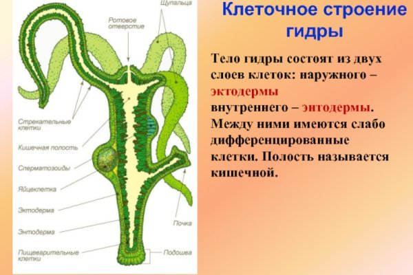 Кракен дарк ссылка