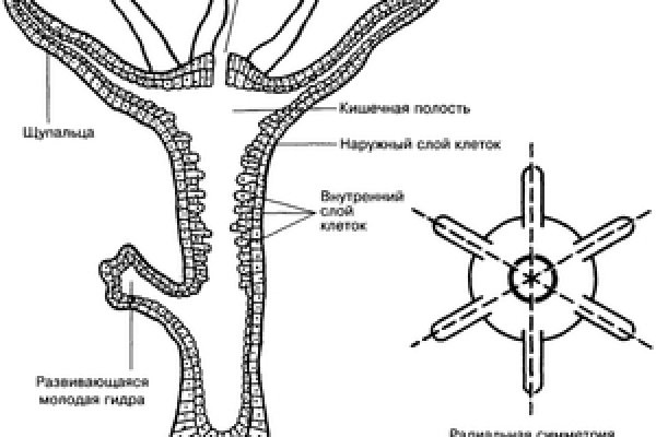 Переход на кракен