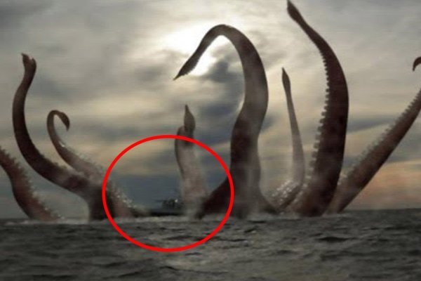 Kraken сайт kraken torion